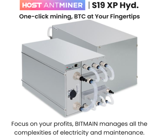 HOST ANTMINER S19 XP Hyd - Image 2